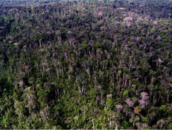 Image: Amazon